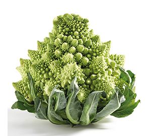 Romanescu