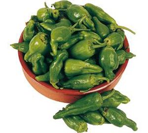 Pimiento de padrón