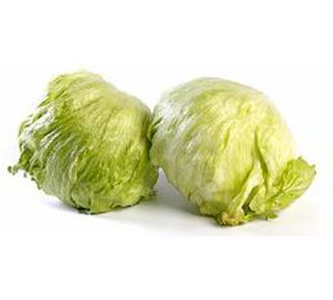 Lechuga iceberg