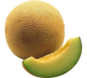 Melón Galia